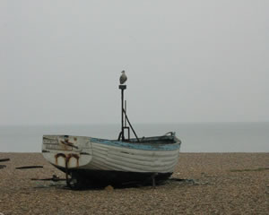 Orford coast