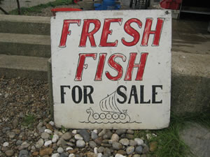 Fresh fish for sale